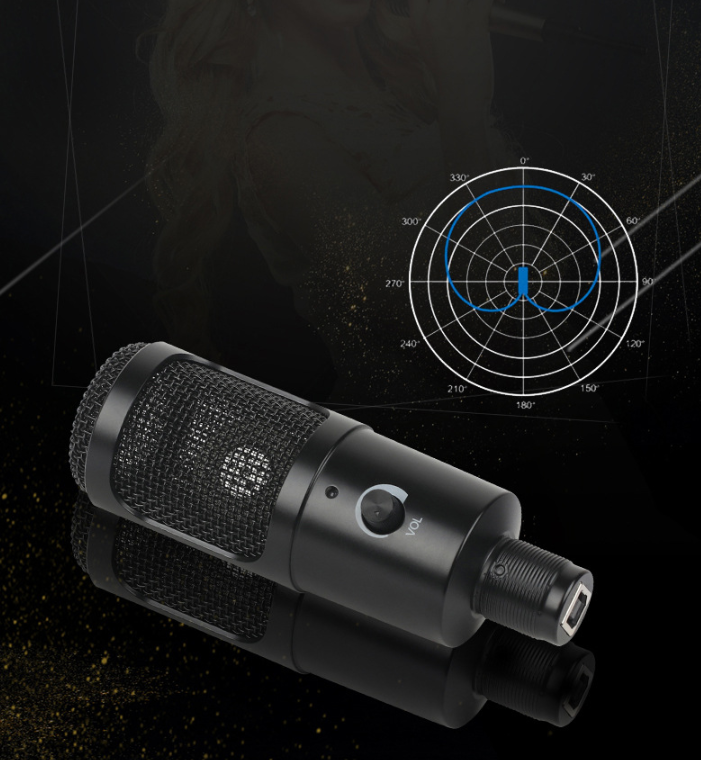 "Computer Game Streaming Condenser Microphone"